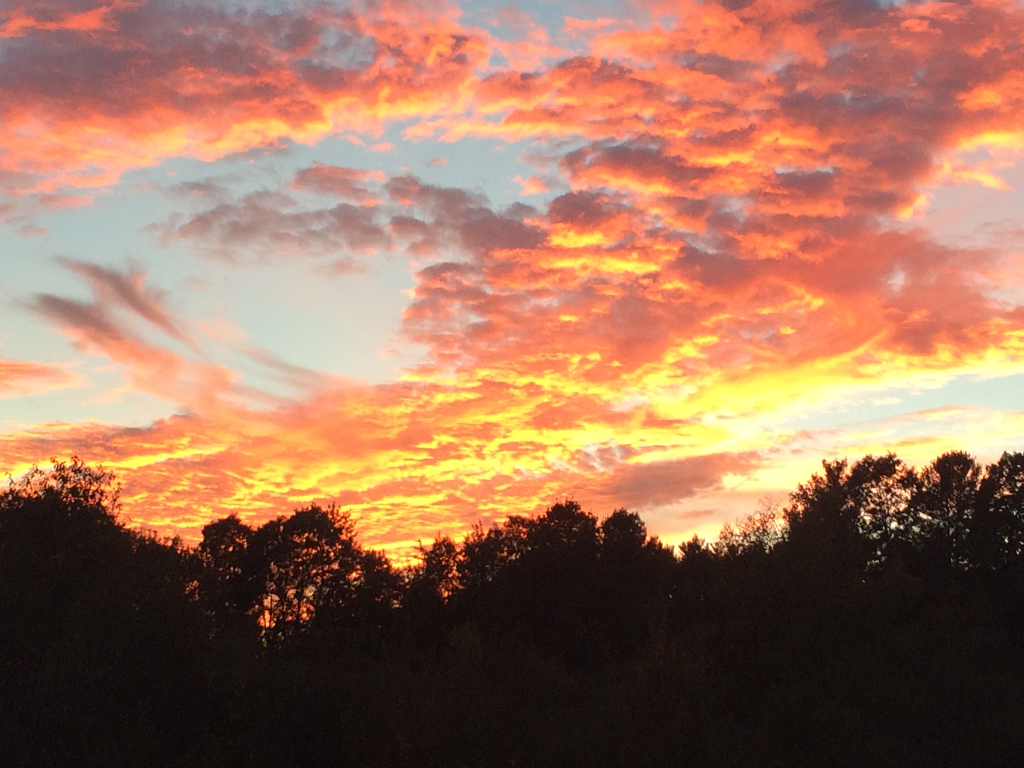 Sunset Over Orchard